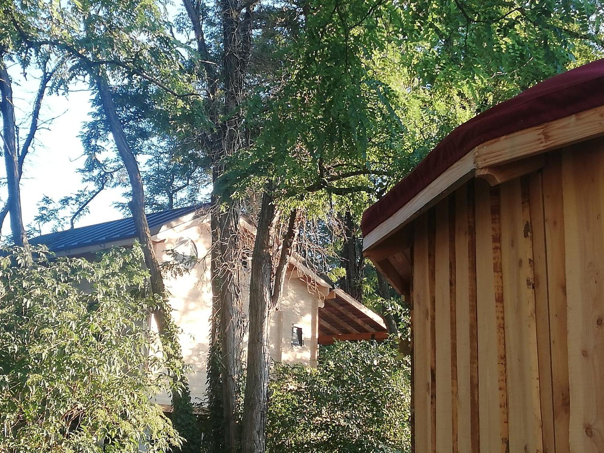 Bed and Breakfast Des Branches&Vous Chateauneuf-sur-Isere Exterior foto